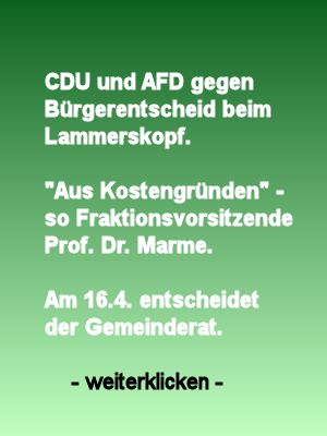 Bürgerentscheid Image