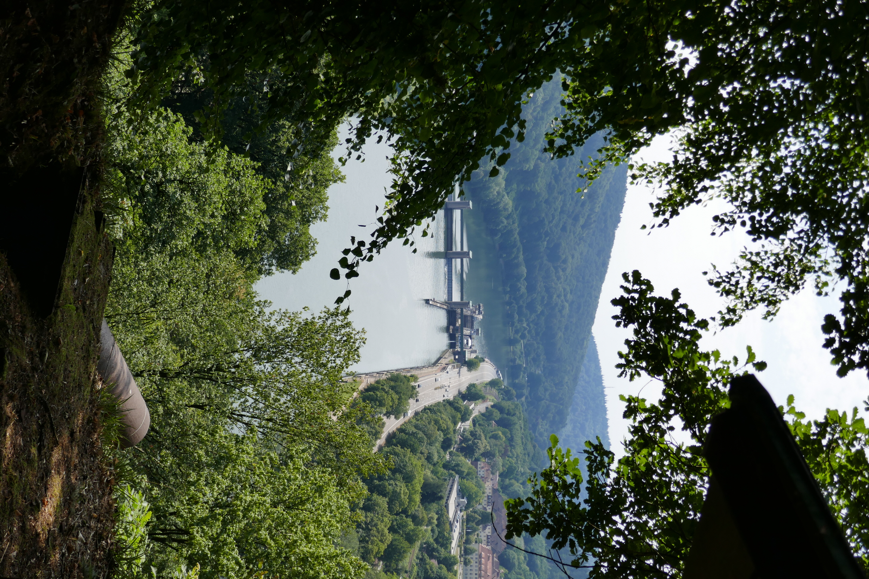 Neckarblick Speismauer Image